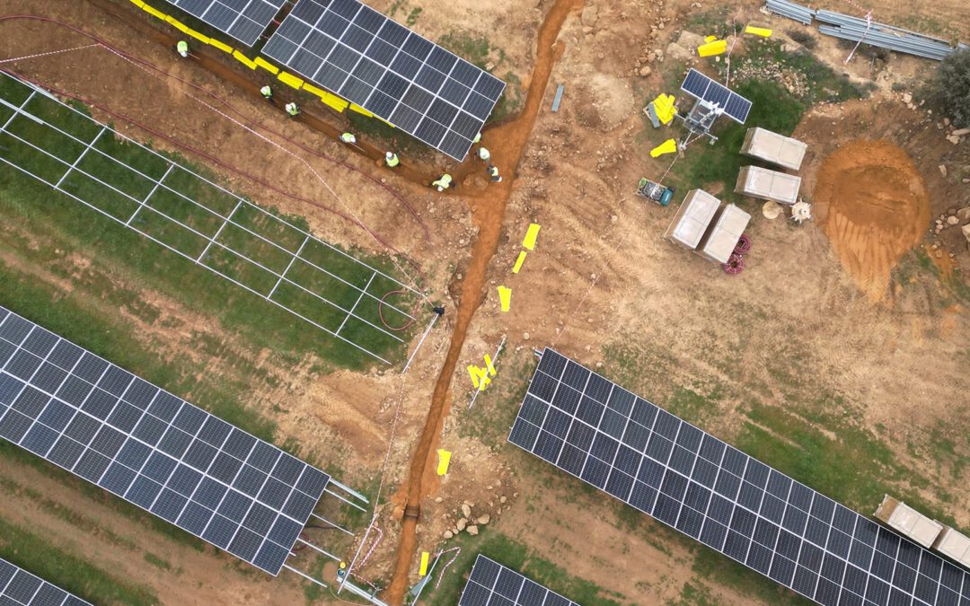 Parc solar a Tarragona #17 (2025)